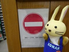 図書館のバックヤードを案内するうさぽん