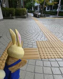 港南図書館前の点字ブロック