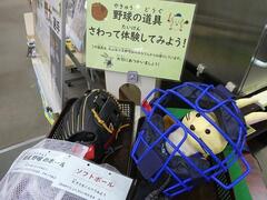 キャッチャーマスクをつけてみるうさぽん