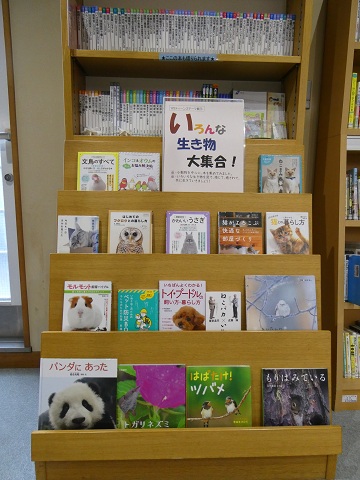 令和８年1月ティーンズ展示「いろんな生き物大集合」