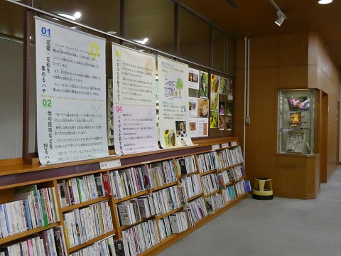 令和８年7月一般展示「あっ！ハチがいる！ ハチの種類と見分け方」