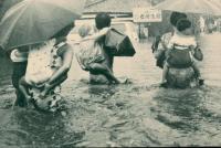 洪水の中を行く市民－青砥付近の画像