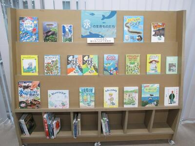 「水の中の生きものたち国」展示の画像