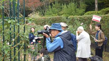 緑に親しむ写真講座　植物園の様子