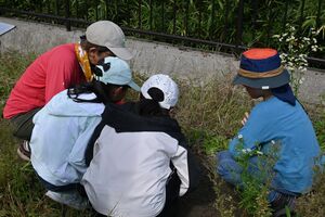 弘明寺公園での活動の様子