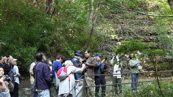 緑に親しむ写真講座　ワークショップの様子