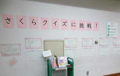 クイズの様子