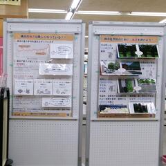 展示風景パネル
