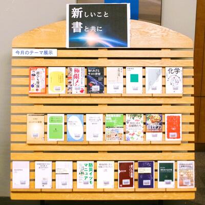 展示画像
