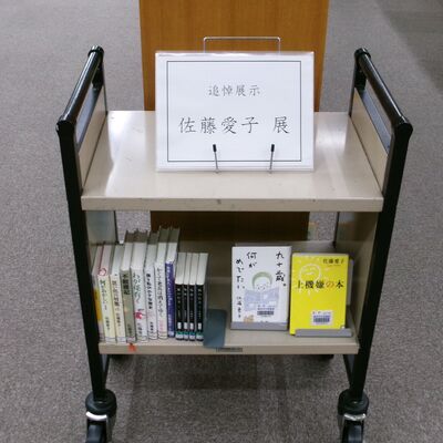 展示風景