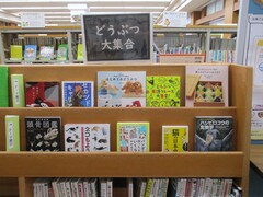 一般書展示の写真