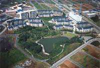 鴨池公園、しいの木台の画像