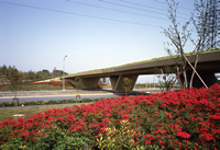 鴨池公園橋の画像