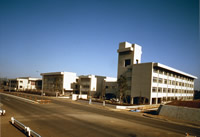 新栄高校の画像