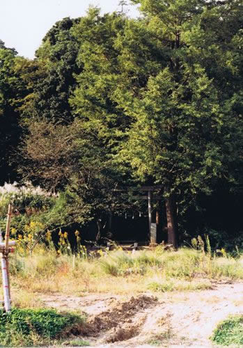 杉山神社（茅ヶ崎）の画像