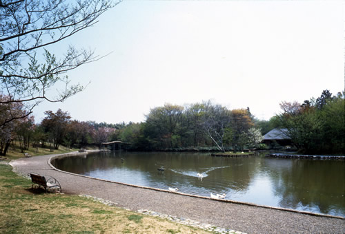 せせらぎ公園の画像