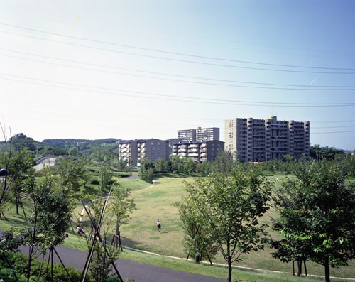 鴨池公園・しいの木台の画像