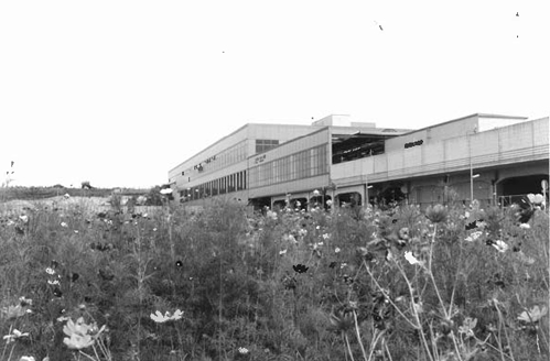 センター北　コスモスの画像