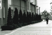 仲町台駅ななめ（アップ）の画像