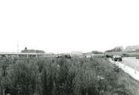 仲町台駅周辺の画像