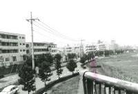 中丸バス停の画像