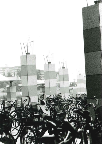 仲町台駅　駅前駐輪と電灯柱の画像