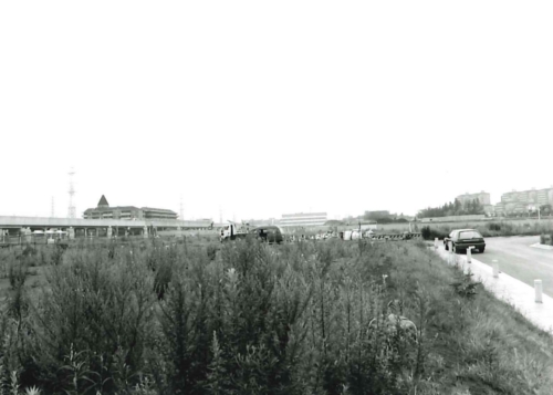 仲町台駅周辺の画像