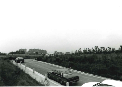 仲町台駅付近の画像