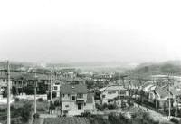 山崎公園からセンター方面を眺むの画像