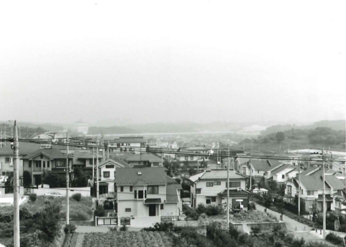 山崎公園からセンター方面を眺むの画像