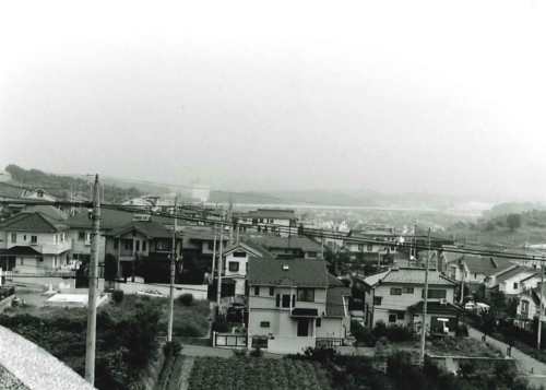 山崎公園からセンター方面を眺む