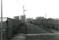 センター南駅より南方向の画像