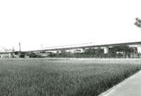 センター南近くの画像の画像