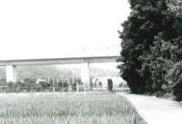 センター南付近の画像