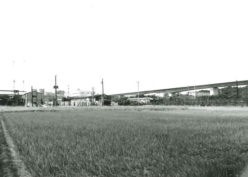 センター南近くの画像