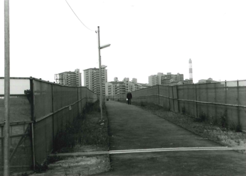 センター南駅より南方向の画像