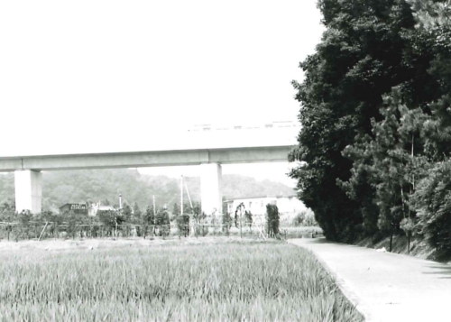 センター南付近の画像