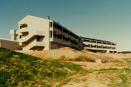 中川中学校１の画像