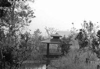 中川遊歩道の画像