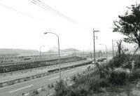 センター北駅広場交差点から歴博の画像