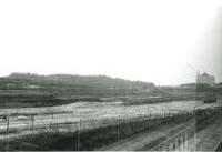 センター北駅から歴史博物館の画像