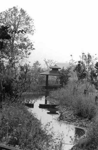 中川遊歩道の画像