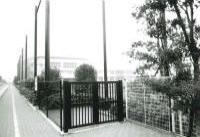 中川小学校の画像