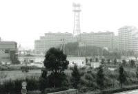 中川駅周辺の画像