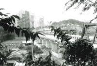 あざみ野から中川方面の画像