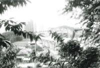 あざみ野から中川方面の画像