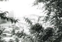 あざみ野から中川方面の画像