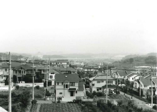山崎公園から南東方面を望むの画像
