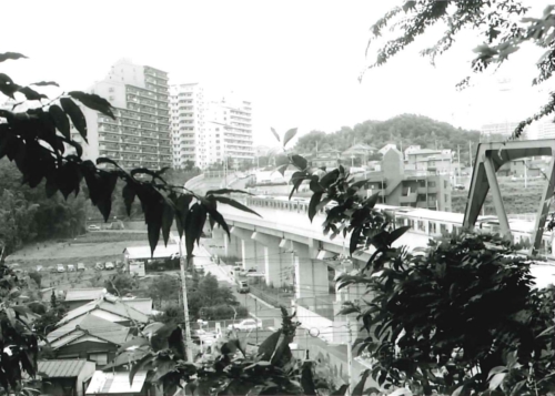 あざみ野から中川方面