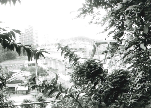 あざみ野から中川方面